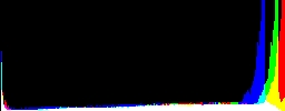 Histogram